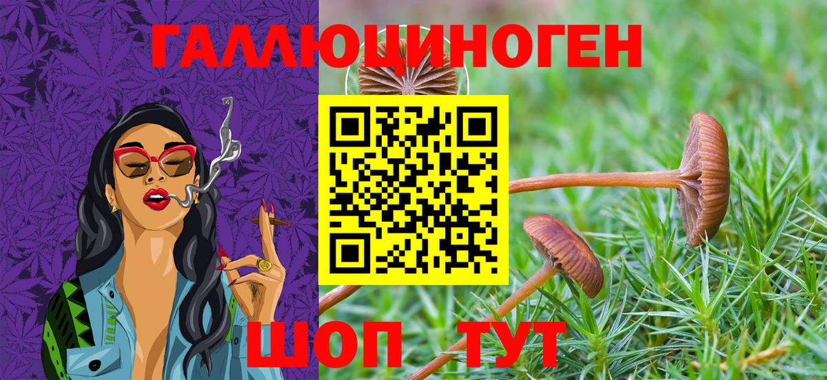 Псилоцибиновые грибы GOLDEN TEACHER  Вход с VPN  Донской 